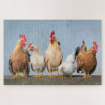 Puzzle Agritourisme Poulets Coqs Nature Animaux mignons<br><div class="desc">Ce design à thème animal présente des coqs de ferme et des poulets. Parfait pour les cadeaux d'anniversaire, les fêtes de Noël ou tout simplement pour s'amuser #jigsawpuzzles #puzzle #jigsawpuzzle #puzzles #puzzlelover #puzzletime #puzzledict #jigsaw #pieces #puzzlesofinstagram #puzzlemania #jigsaws #puzzlefun #puzzles #puzzlegram #puzzlegram zzler #puzzleshop #instapuzzle #fun #games #farm #farm #farm...</div>