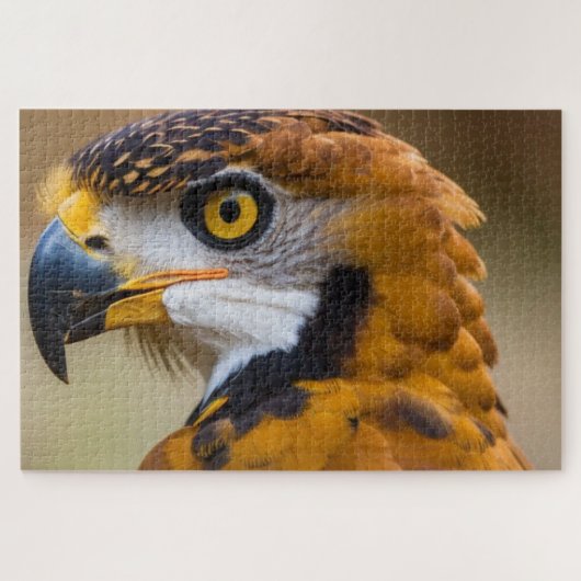 Puzzle Aigle (Horizontal)