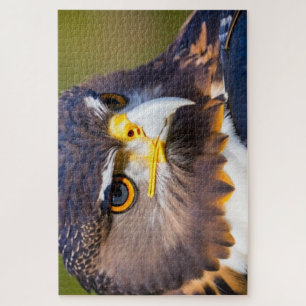 Puzzle Aigle 2