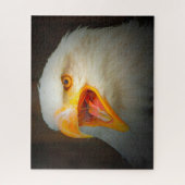 Puzzle Aigle à queue blanche. (Vertical)