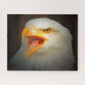 Puzzle Aigle à queue blanche. (Horizontal)