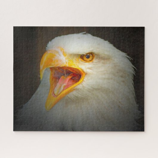 Puzzle Aigle à queue blanche. (Horizontal)