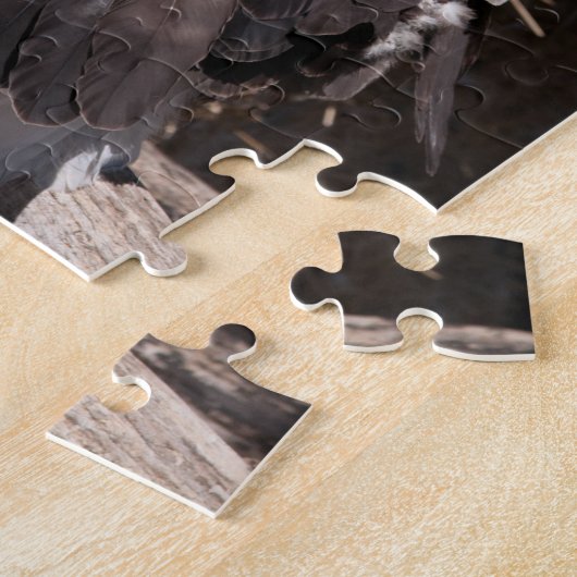 Puzzle Aigle à tête blanche (Côté)