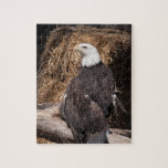 Puzzle Aigle à tête blanche<br><div class="desc">Aigle à tête blanche</div>