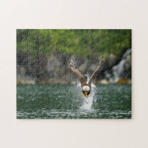 Puzzle Aigle à tête blanche La grosse prise