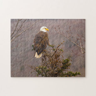 Puzzle Aigle à tête blanche Nouvelle-Écosse Canada. Puzzl