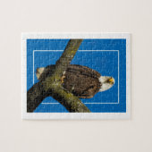 Puzzle Aigle Bald Avec Bordure (Horizontal)
