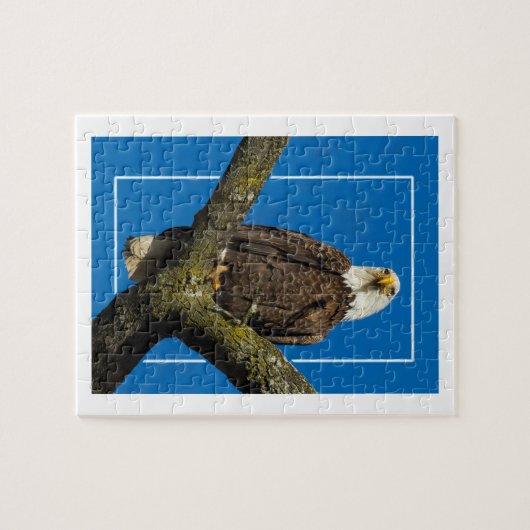 Puzzle Aigle Bald Avec Bordure (Horizontal)