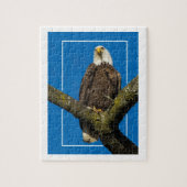 Puzzle Aigle Bald Avec Bordure (Vertical)