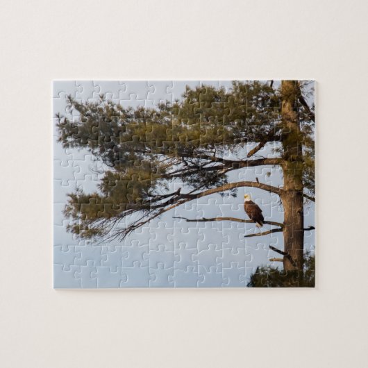 Puzzle Aigle Balle Dans Un Arbre À Pins (Horizontal)