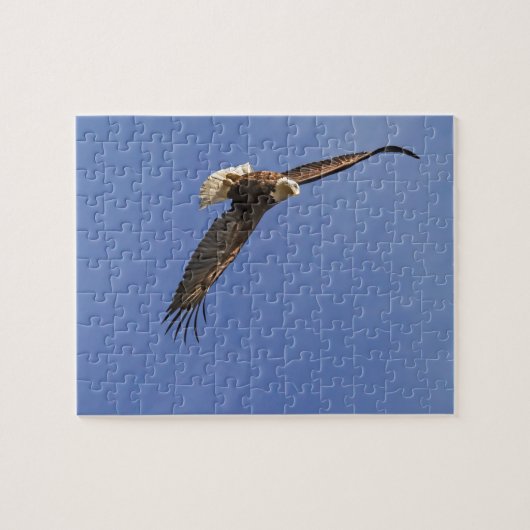 Puzzle Aigle chauve (Horizontal)