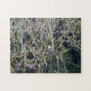 Puzzle Aigle dans la PNW
