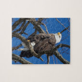 Puzzle Aigle de Bald (Horizontal)