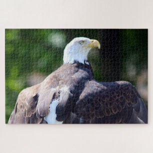 Puzzle Aigle de Bald