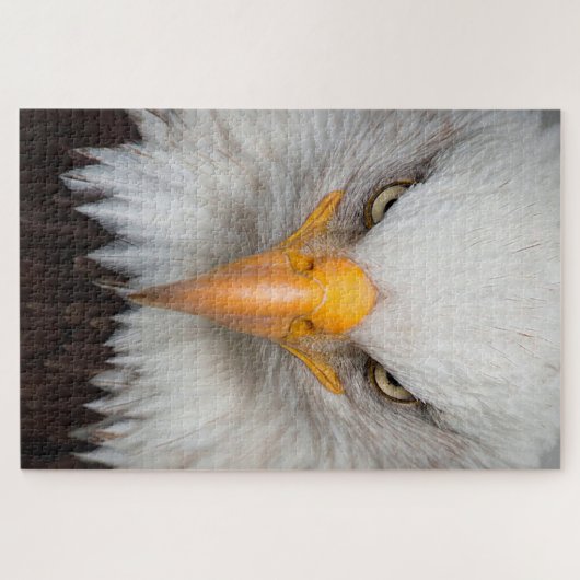 Puzzle Aigle de Bald (Horizontal)