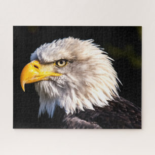 Puzzle Aigle de Bald