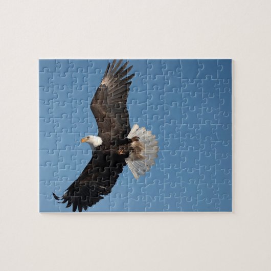 Puzzle Aigle de Bald en vol (Horizontal)