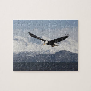 Puzzle Aigle de tête en vol, Haliaeetus leucocephalus,
