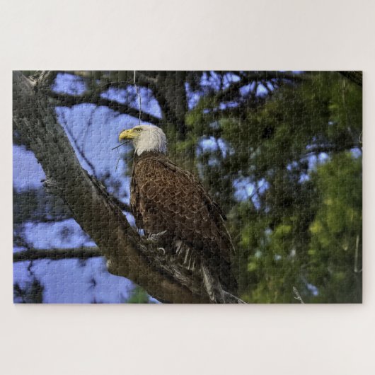 Puzzle Aigle maturé (Horizontal)