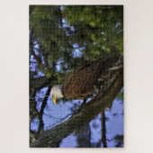 Puzzle Aigle maturé (Vertical)