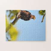 Puzzle Aigle Montana. (Horizontal)