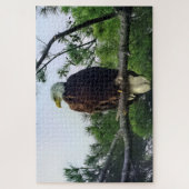 Puzzle Aigle mûre majestueux perché dans l'arbre (Vertical)
