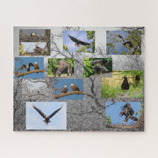 Puzzle Aigles À Balles, Apportant Junior (Horizontal)
