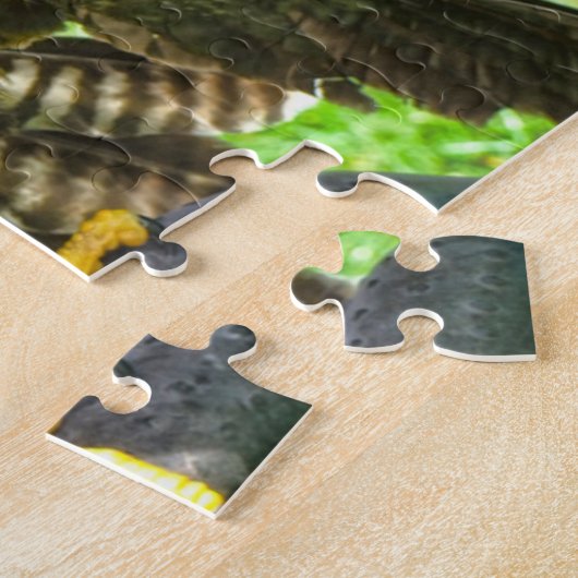 Puzzle Aigles canadiens. (Côté)