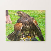 Puzzle Aigles canadiens. (Horizontal)