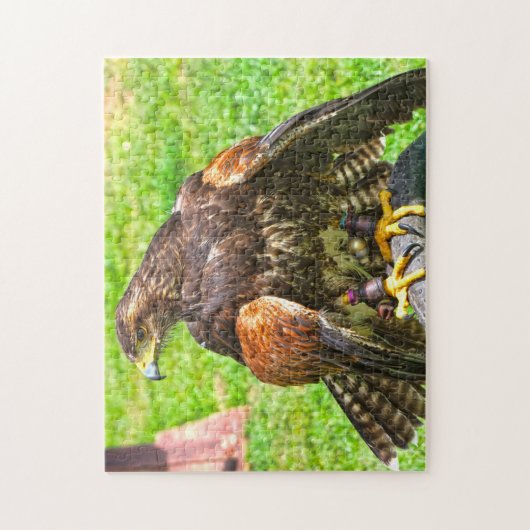 Puzzle Aigles canadiens. (Vertical)