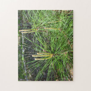 Puzzle Aiguilles de pin par Kenneth Yoncich