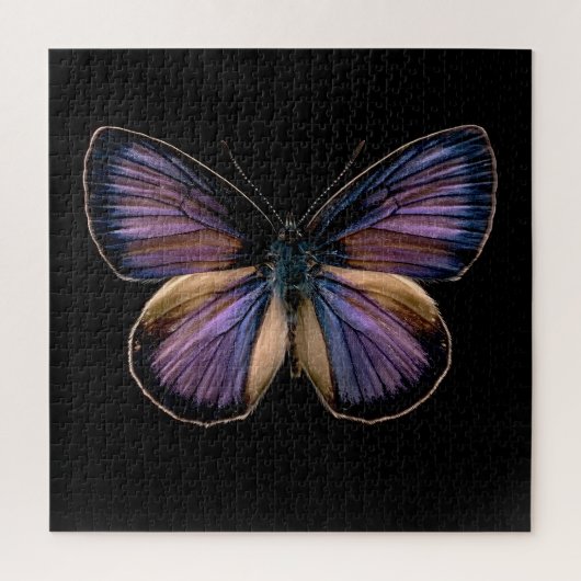 Puzzle Ailes de minuit (Vertical)