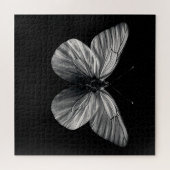 Puzzle Ailes de minuit (Horizontal)