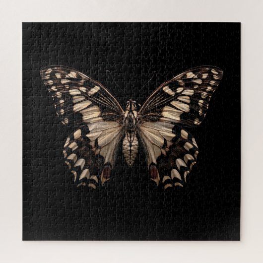 Puzzle Ailes de minuit (Vertical)