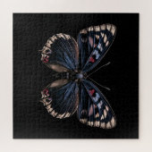 Puzzle Ailes de minuit (Horizontal)