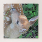 Puzzle Aimable Fawn (Horizontal)