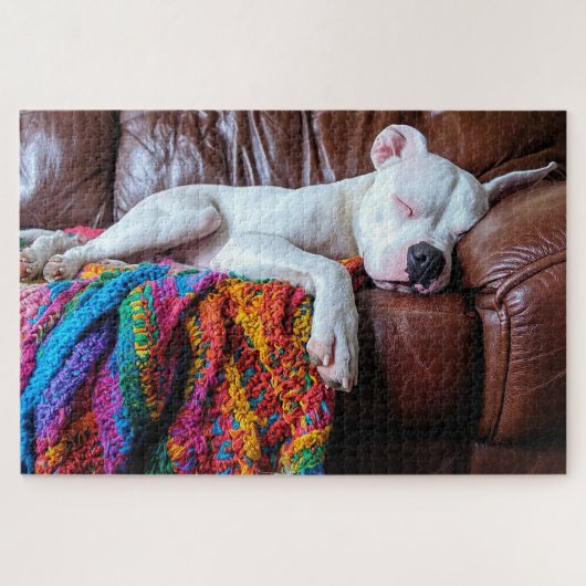 Puzzle Aimer Pitbull Chien Dormir sur le canapé (Horizontal)