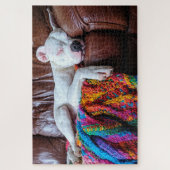 Puzzle Aimer Pitbull Chien Dormir sur le canapé (Vertical)
