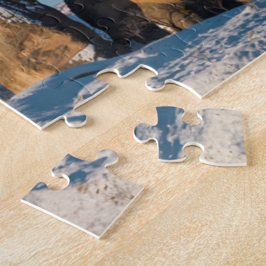 Puzzle Air chaud montant en ballon dans Cappadocia (Côté)