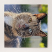 Puzzle Ajouter une Personnaliser photo de chat (Horizontal)
