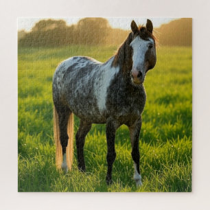 Puzzle Ajouter une photo de cheval Personnaliser
