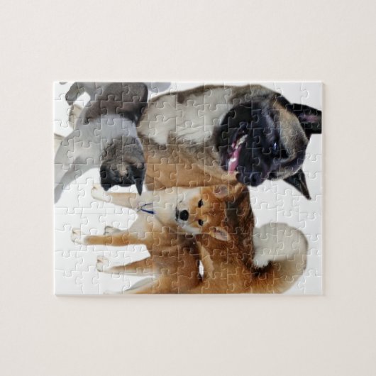 Puzzle Akita (Horizontal)