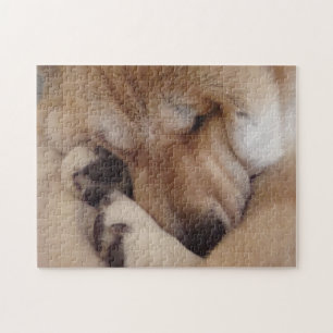 Puzzle akita endormi pattes de boudin très mignon chien
