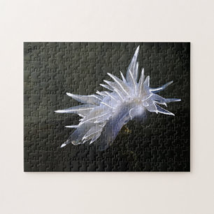 Puzzle Alabaster Nudibranche
