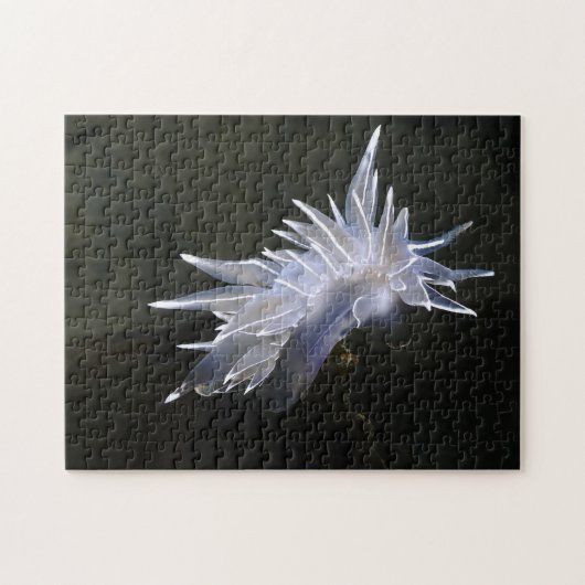 Puzzle Alabaster Nudibranche (Horizontal)