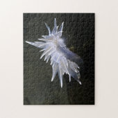 Puzzle Alabaster Nudibranche (Vertical)