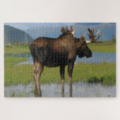 Puzzle Alaska Bull Moose With Rack Antlers Scenic Outdoor (Horizontal)
