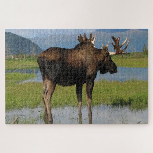 Puzzle Alaska Bull Moose With Rack Antlers Scenic Outdoor (Horizontal)