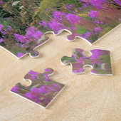 Puzzle Alaska kenia Mont iliamna (Côté)