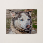 Puzzle Alaskan Huskey (Horizontal)